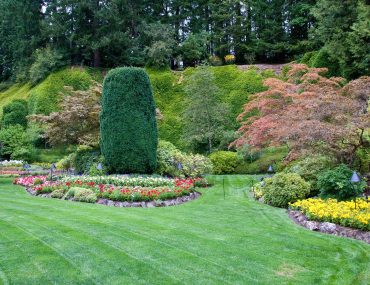mobilny ogrodnik aranazacja
