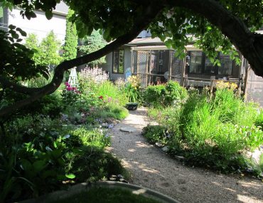 przycinanie kwiatow wieloletnich